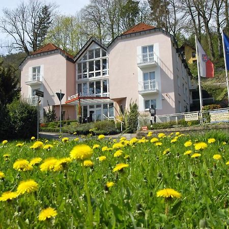 Altstadthotel An Der Werra Meiningen Extérieur photo