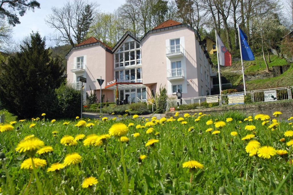 Altstadthotel An Der Werra Meiningen Extérieur photo